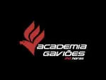 Academia Gaviões 24h company logo