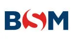 BSM ATACADISTA company logo