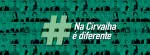 Cirvaiha - Gestão de Serviços e Desenvolvimento de... company logo