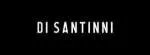 DI SANTINNI company logo