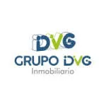 DVG Grupo company logo