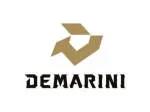 Dmartini Serviços company logo