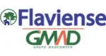 FLAVIENSE company logo