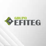 GRUPO EFITEG company logo