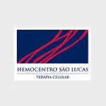 GRUPO HEMOCENTRO SÃO LUCAS company logo