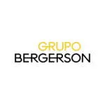 Grupo Bergerson company logo