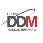 Grupo DDM company logo