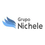 Grupo Nichele company logo