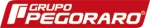 Grupo Pegoraro company logo