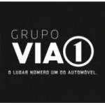 Grupo Via1 company logo