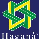 Hagana Serviços Especiais LTDA company logo