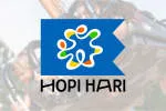 Hopi Hari S/A company logo