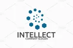 Intellect Consultoria company logo