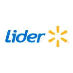 LÍDER TRANSPORTE company logo