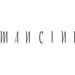 MANCINI INDUSTRIA E COMERCIO S/A company logo