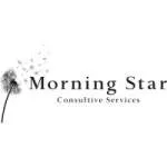 Morning Star Consulting company logo