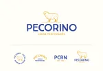 PECORINO PARTICIPAÇÕES LTDA company logo