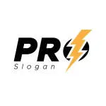 PRO company logo