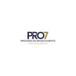 PRO7 Recrutamento & Seleção company logo