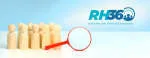 RH360 GRAUS - O RH COMPLETO company logo