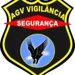 Serviços de Vigilância e Segurança Ltda company logo