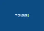 Trigo Brasil company logo