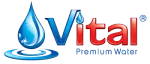 Vital Senior Excelence company logo