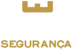 AM3 SEGURANÇA E VIGILANCIA company logo