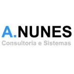 Anunes Consultoria company logo