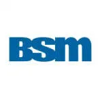 BSM Engenharia company logo