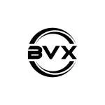 Bvex Industrial LTDA company logo