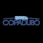 COPADUBO TRANSPORTES E LOGISTICA S/A company logo