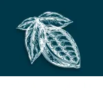 Cacao Confeitaria saudável company logo