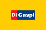 Di Gaspi Calçados company logo