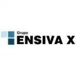 Ensiva X Brasil Serviços company logo