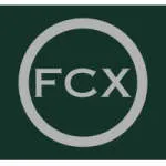 FCX Consultoria Empresarial company logo