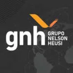 Grupo Nelson Heusi company logo