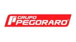 Grupo Pegoraro - Deycon company logo