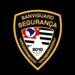 Grupo Sanviguard company logo