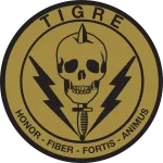 Grupo Tigre company logo