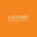 Ludama RH company logo