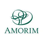 REBECA AMORIM company logo