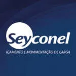 Seyconel Automação Industrial Ltda company logo