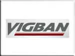 VIGBAN company logo