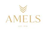 Amel's Conceito company logo