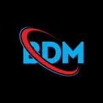 BDM GRUPO company logo