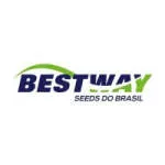 Bestway Seeds do Brasil company logo