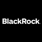 Black Rock Phones company logo