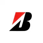 Bridgestone Brasil company logo