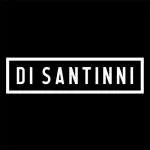 Di Santinni company logo